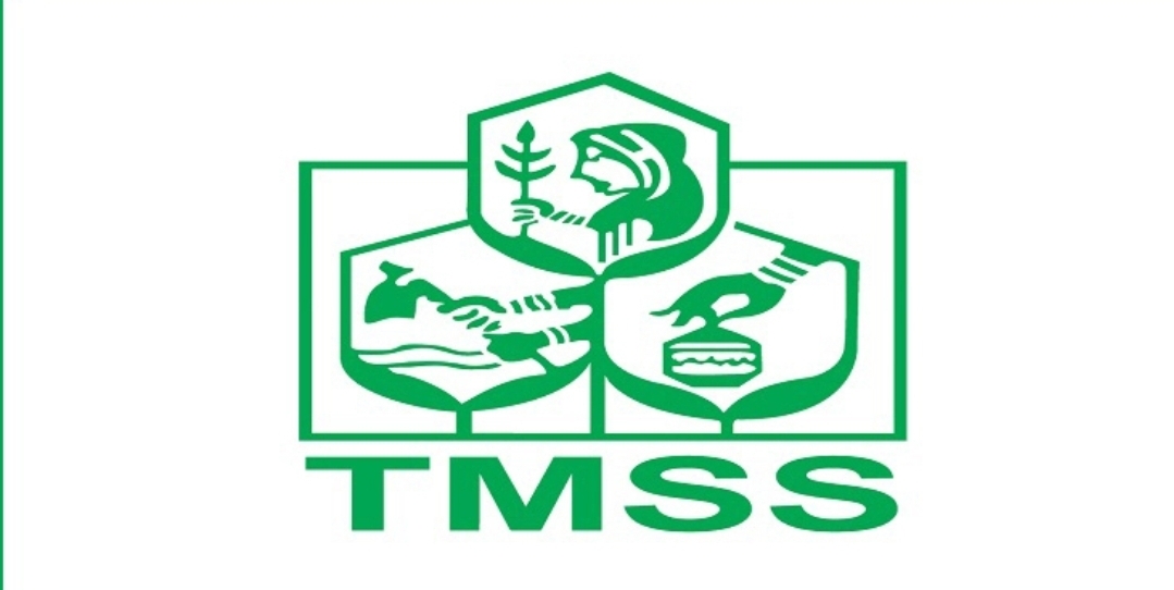 টিএমএসএসে কাজের সুযোগ
