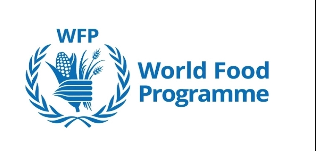 জাতিসংঘে নিয়োগ, স্নাতক পাসেই আবেদন