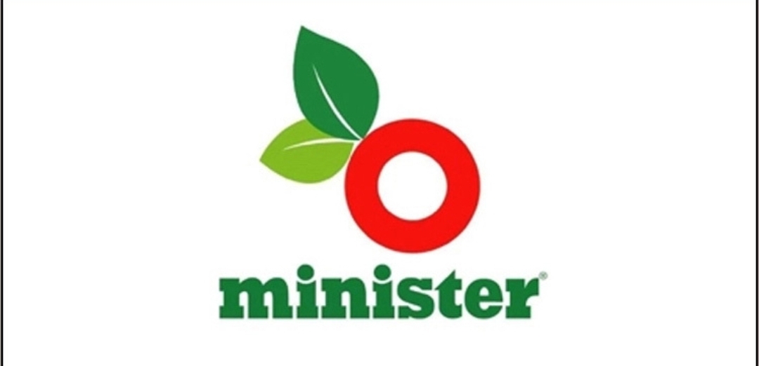 মিনিস্টারে নিয়োগ, পদসংখ্যা ১০০