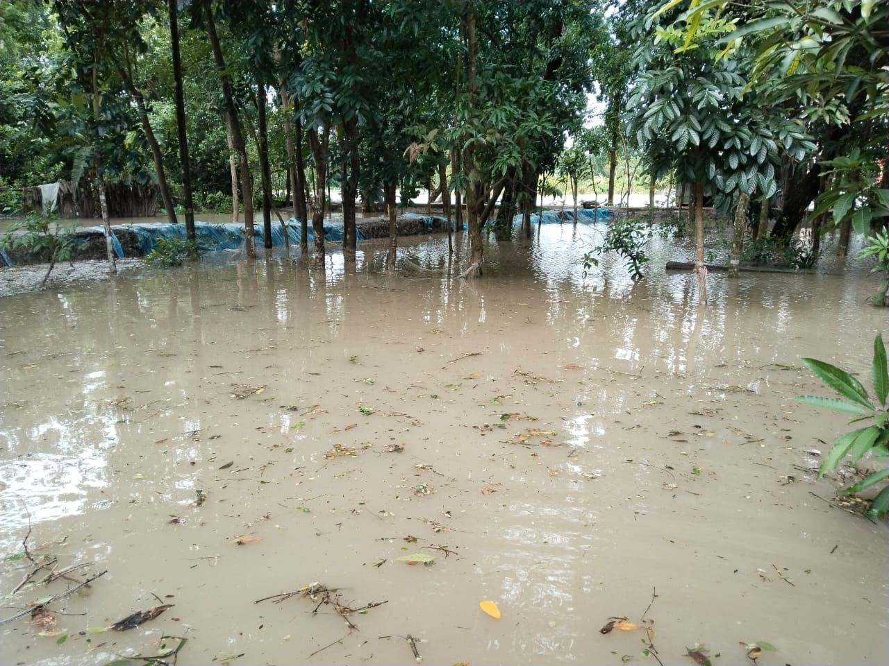 কীর্তনখোলাসহ ১১ নদীর পানি বিপৎসীমার ওপরে, প্লাবিত নিম্নাঞ্চল