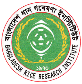 ধান গবেষণা ইনস্টিটিউটে নিয়োগ, পদসংখ্যা ৩২