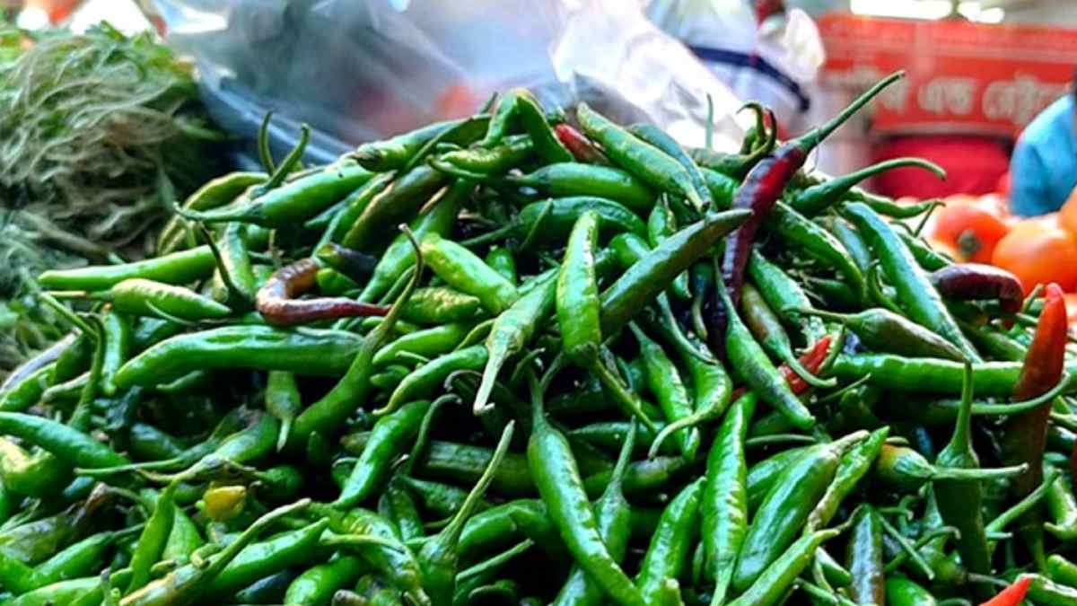 লাগামছাড়া কাঁচামরিচের দাম, কর কমিয়ে আমদানির অনুমতি