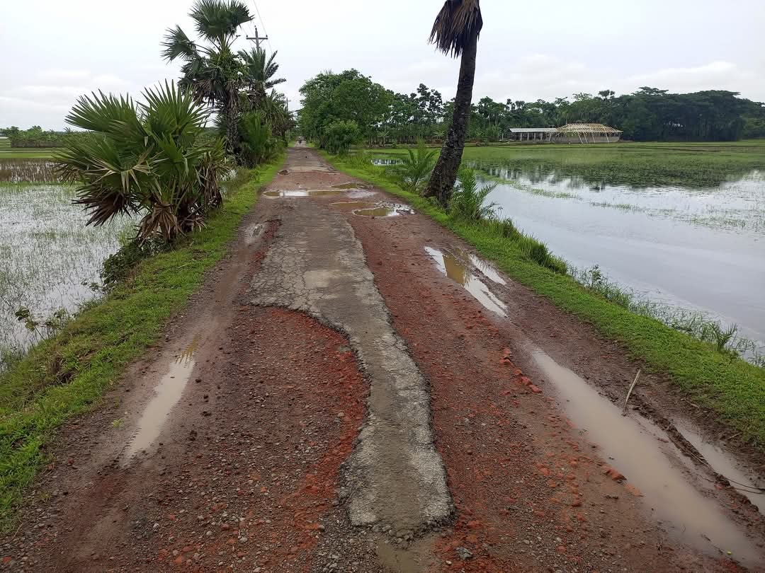 কলাপাড়ায় ভাঙা সড়কে ১৯ গ্রামের মানুষের দুর্ভোগ
