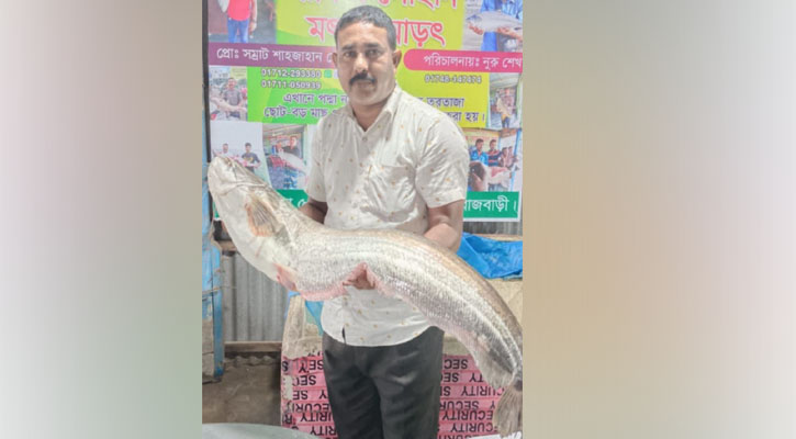 জেলের জালে ১০ কেজির বোয়াল, বিক্রি ১৬ হাজারে