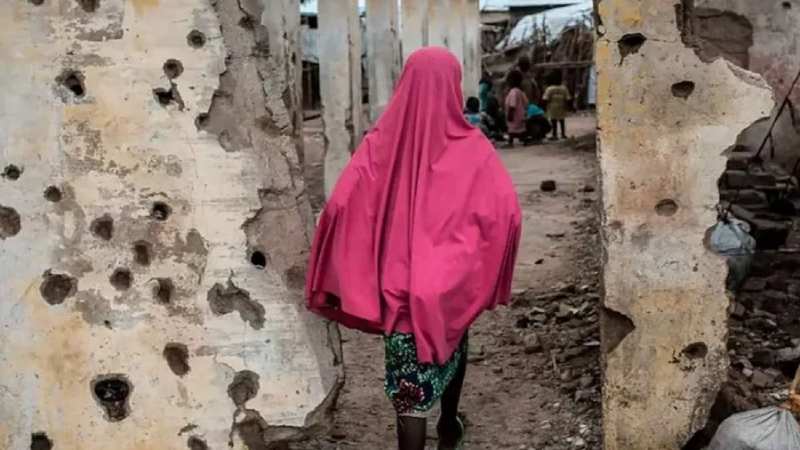 নাইজেরিয়ায় ঘুমন্ত গ্রামবাসীর ওপর হামলা, নিহত ২৯