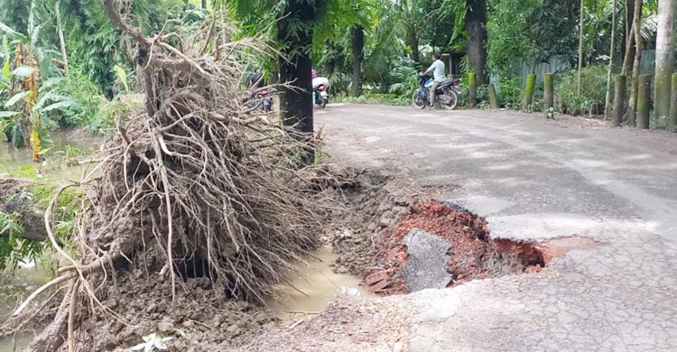 চাঁদপুরে বন্যায় ক্ষতিগ্রস্ত ১৯২ গ্রামীণ সড়ক