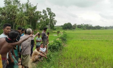 কুমিল্লা সীমান্তে বাংলাদেশি হত্যা প্রসঙ্গে যা বলল বিএসএফ