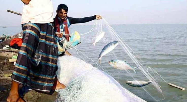 মা ইলিশ রক্ষায় ২২ দিন নদীতে মাছ ধরায় নিষেধাজ্ঞা