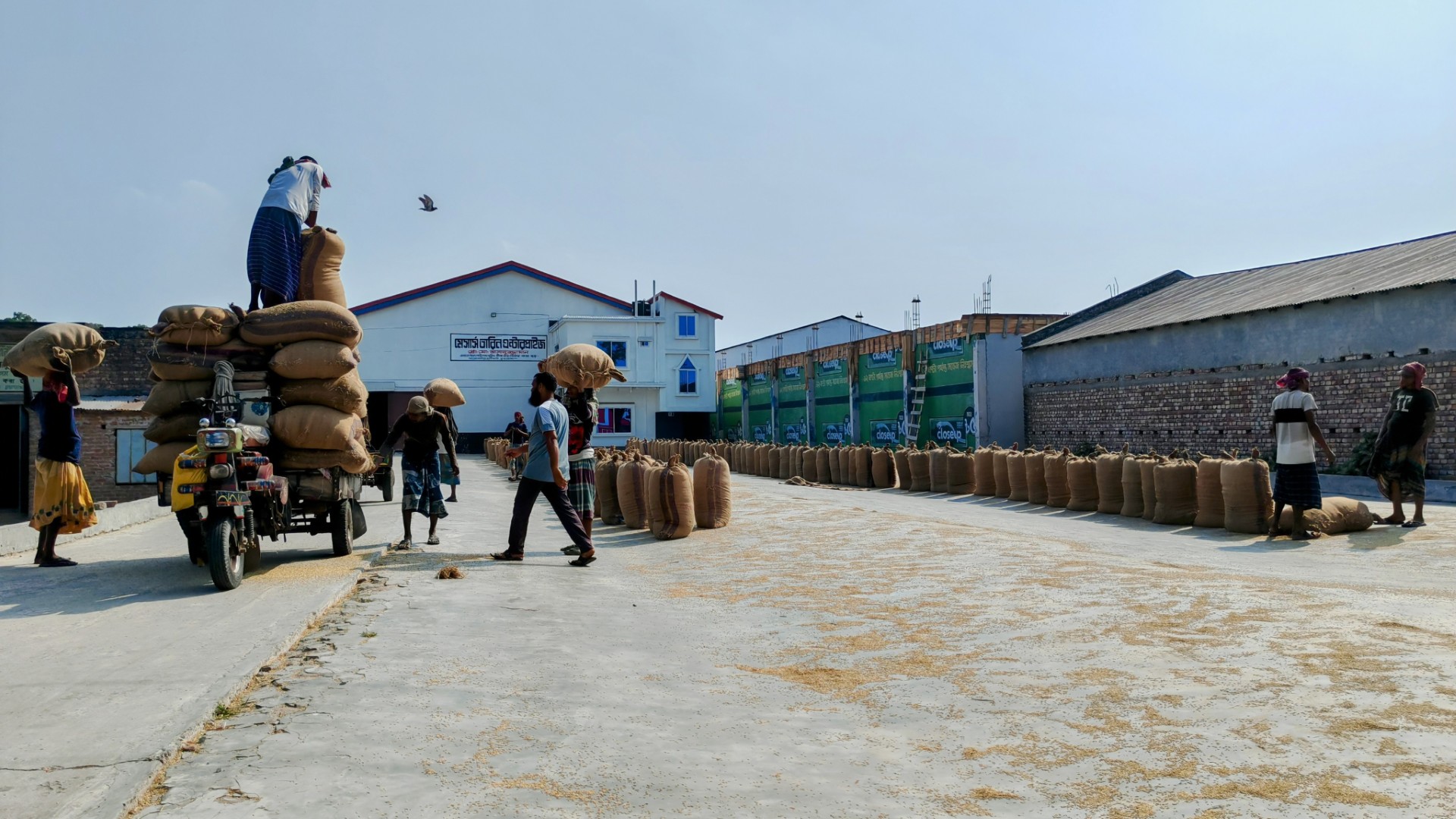 ৪১ ডিগ্রি তাপমাত্রায় পুড়ছে চুয়াডাঙ্গা