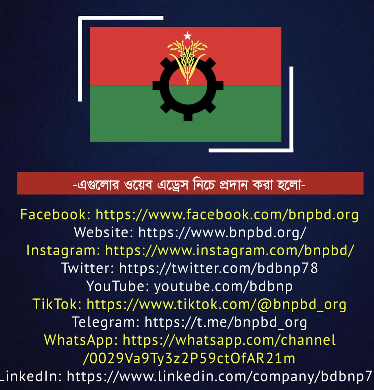 বিএনপি'র অনলাইন প্লাটফর্ম