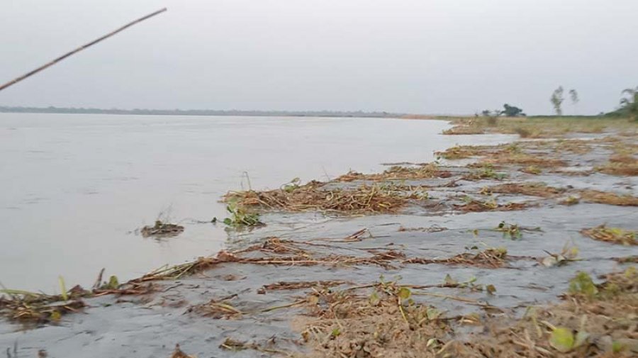 দ্রুত বাড়ছে তিস্তার পানি