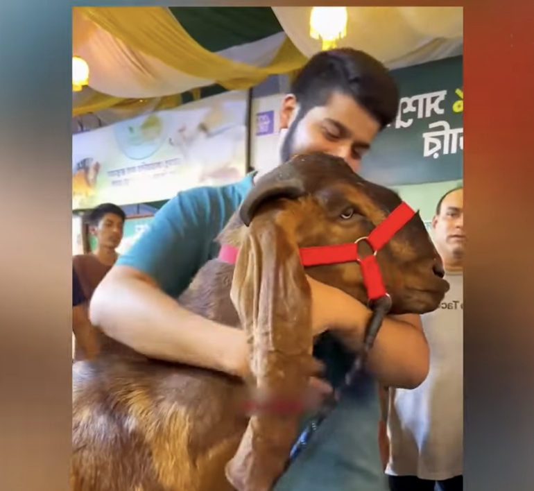 বিটল ছাগল ক্রেতার বাবার পরিচয় নিয়ে ধূম্রজাল