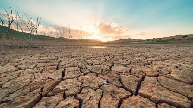 উষ্ণতায় সব রেকর্ড ছাড়িয়ে গেছে ২০২৪ সাল