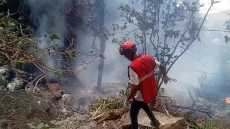 হেলিকপ্টার বিধ্বস্ত: ইকুয়েডরের গোয়েন্দাপ্রধানসহ নিহত ৭