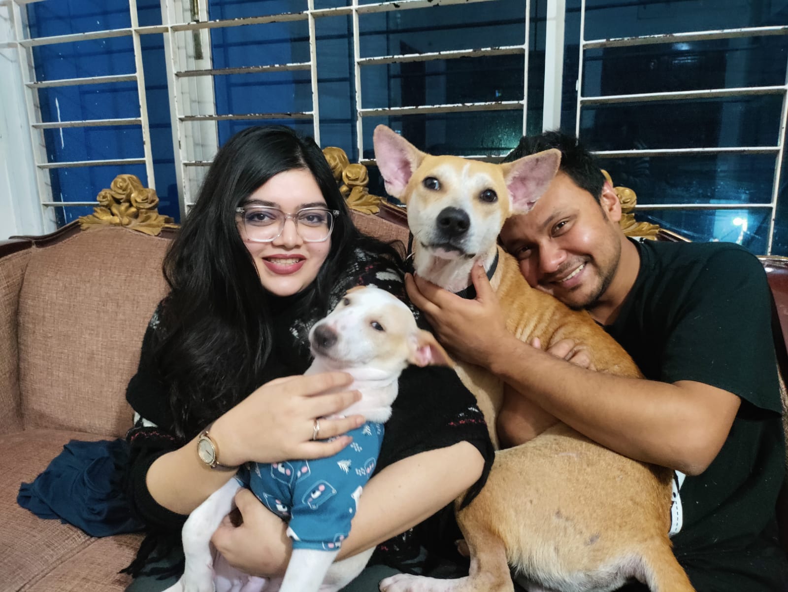 মাইলোকে ফিরে পাওয়ার গল্প