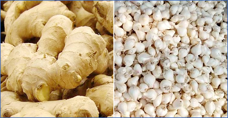 বেড়েছে আদা ও রসুনের দাম