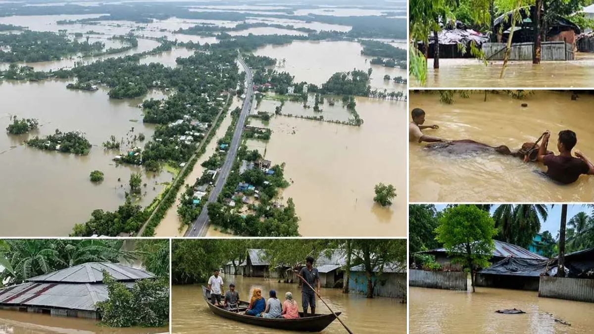এল নিনো: বন্যা-খরা ও রোগের চরম ঝুঁকিতে বাংলাদেশসহ ৬ দেশ