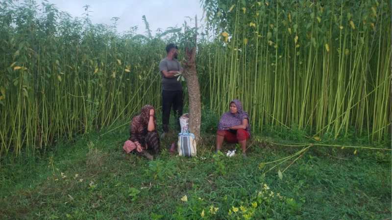 চুয়াডাঙ্গা সীমান্তে ৩ জনকে পুশইনের চেষ্টা প্রতিহত করল বিজিবি