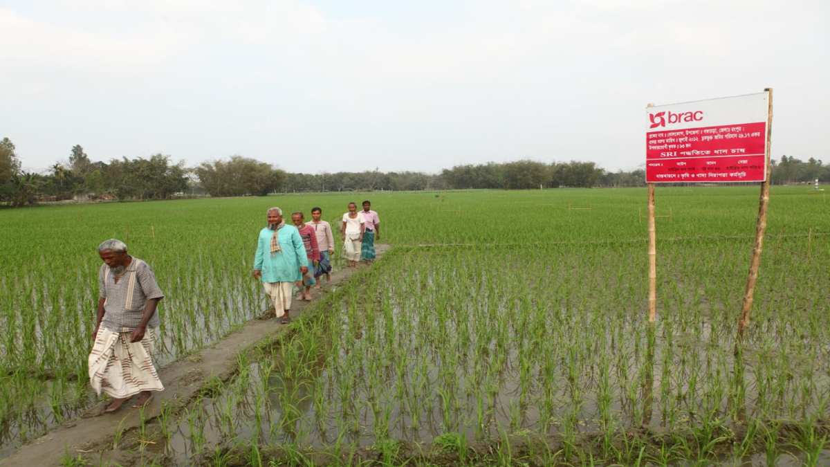 কৃষিখাতে ব্র্যাক মাইক্রোফাইন্যান্সের বরাদ্দ ৩২ কোটি ৮৫ লাখ টাকা