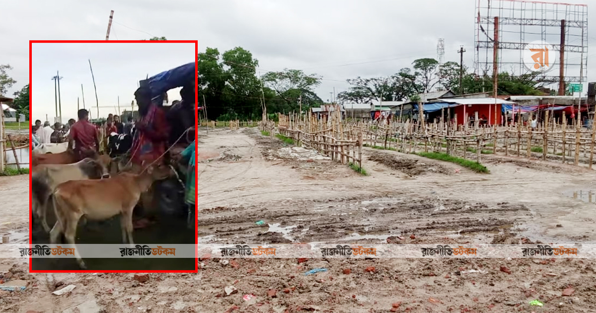 হাইকোর্টের আদেশ উপেক্ষা, বারুইগ্রাম চৌরাস্তায় বসল পশুর হাট