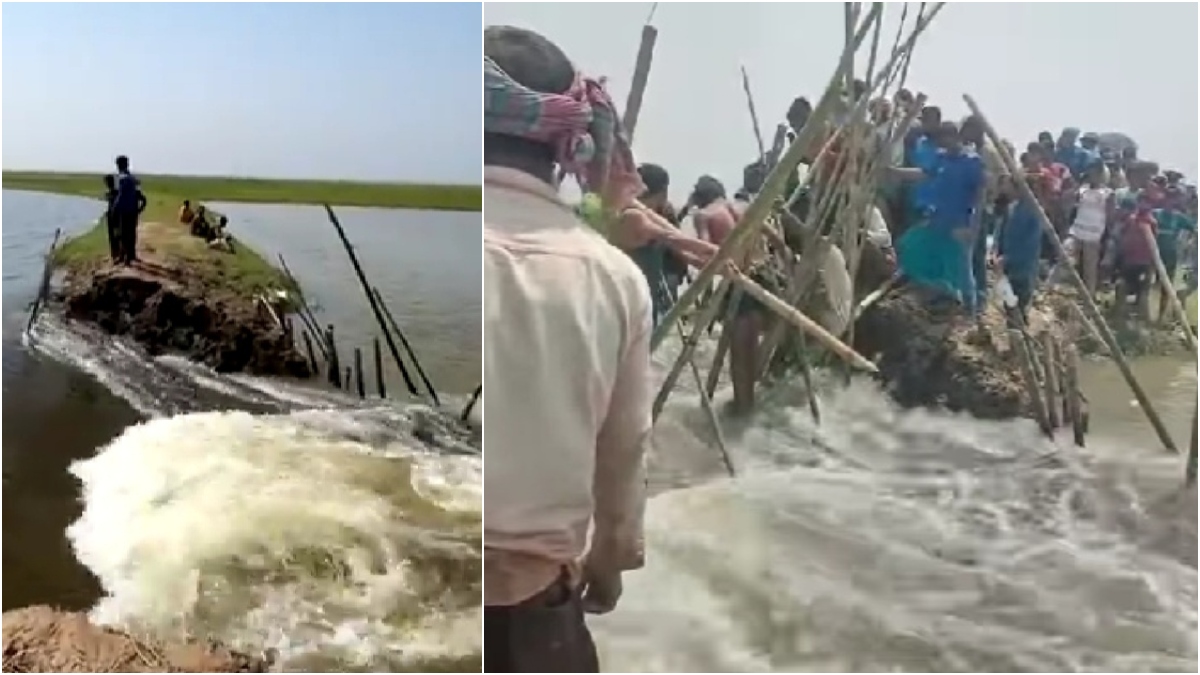 বাঁধ ভেঙে খেতে হাওরের পানি, কৃষকদের চেষ্টায় বাঁচল ফসল