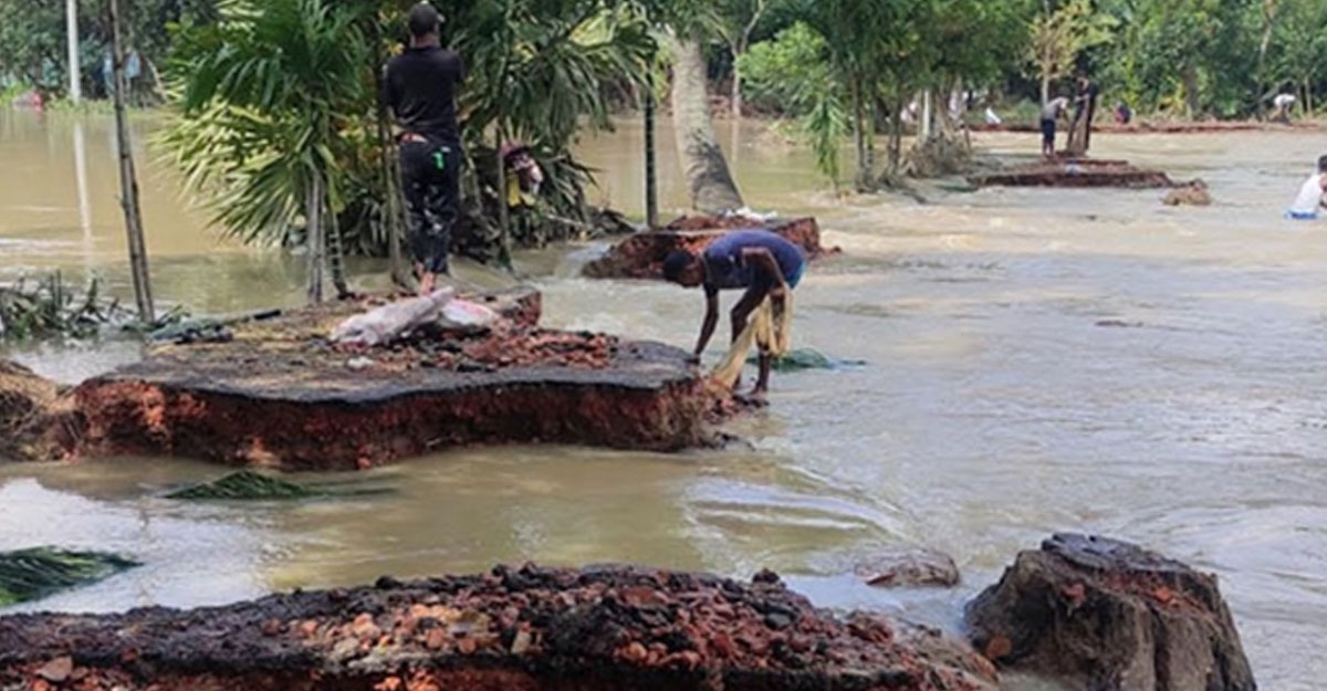 ভেসে উঠছে বন্যার ক্ষত