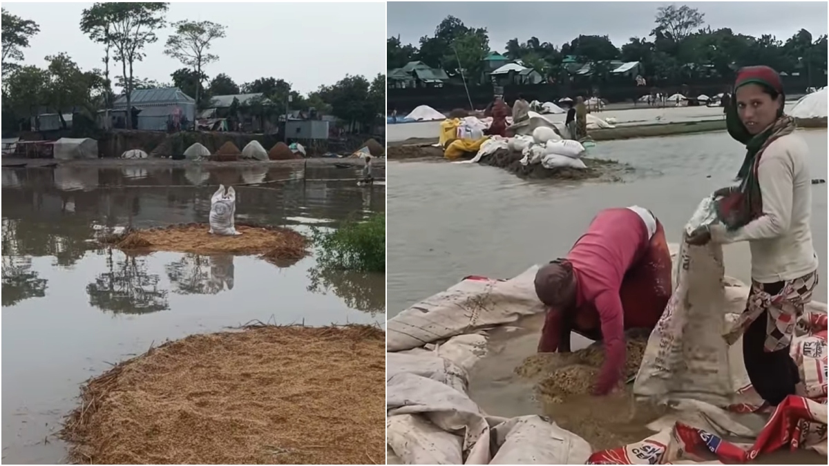 ভেসে যাচ্ছে কাটা ধান, কিশোরগঞ্জে হাওরের বুকে কৃষকের হাহাকার