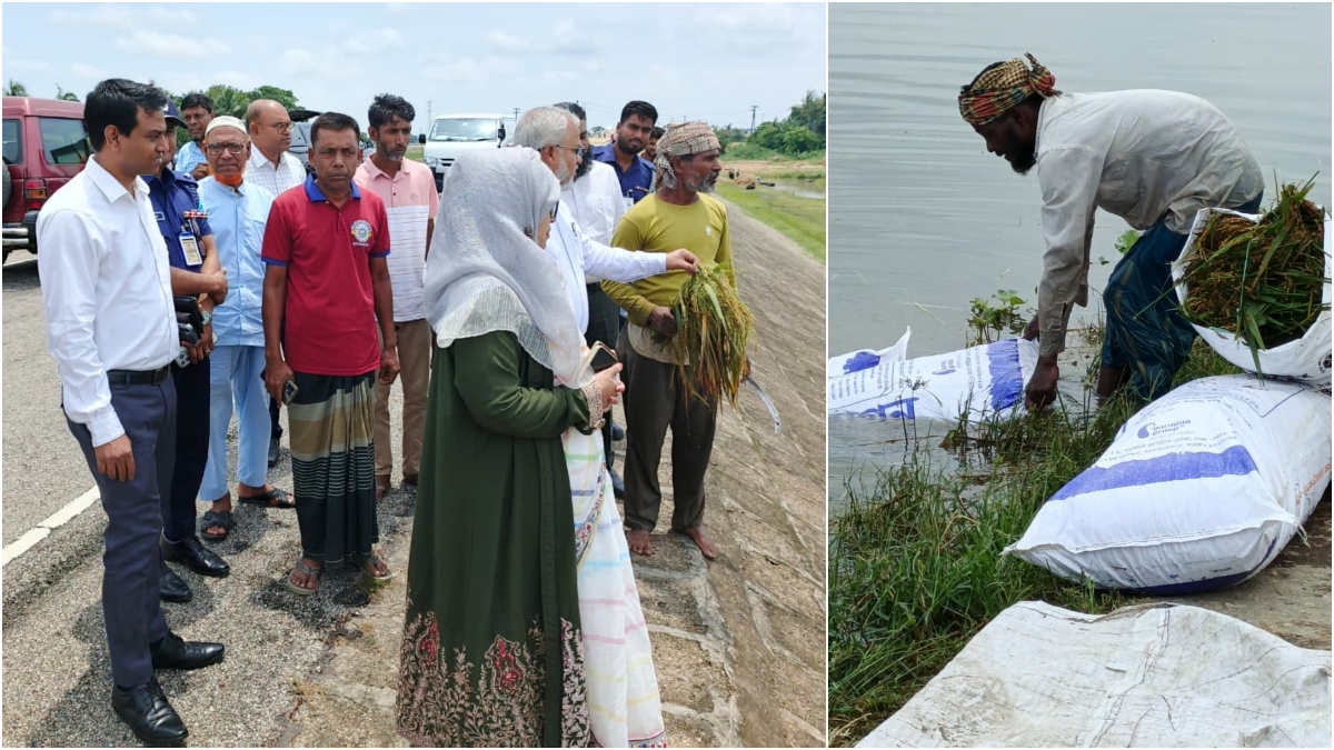 কিশোরগঞ্জে ফসলের ক্ষয়ক্ষতি পরিদর্শনে ডিসি, কৃষকের আর্তনাদে ভারী পরিবেশ