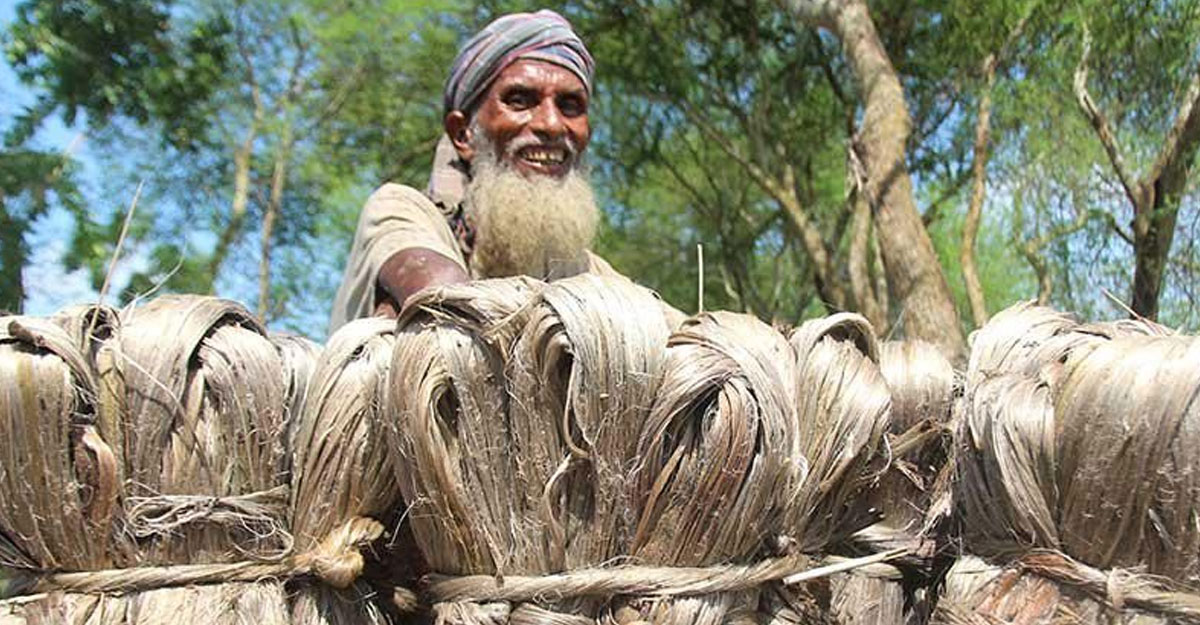 আজ জাতীয় পাট দিবস