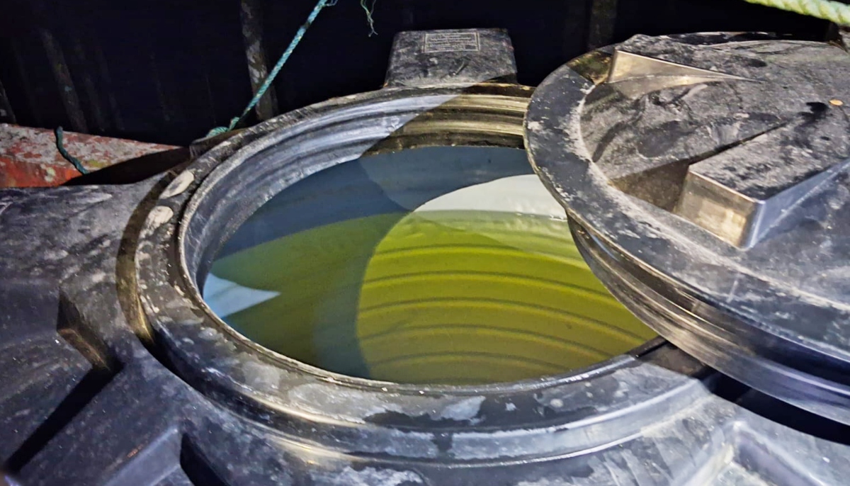 সুবর্ণচরে পানির ট্যাংকে মিলল ৭৫০ লিটার ডিজেল, অভিযানে জব্দ