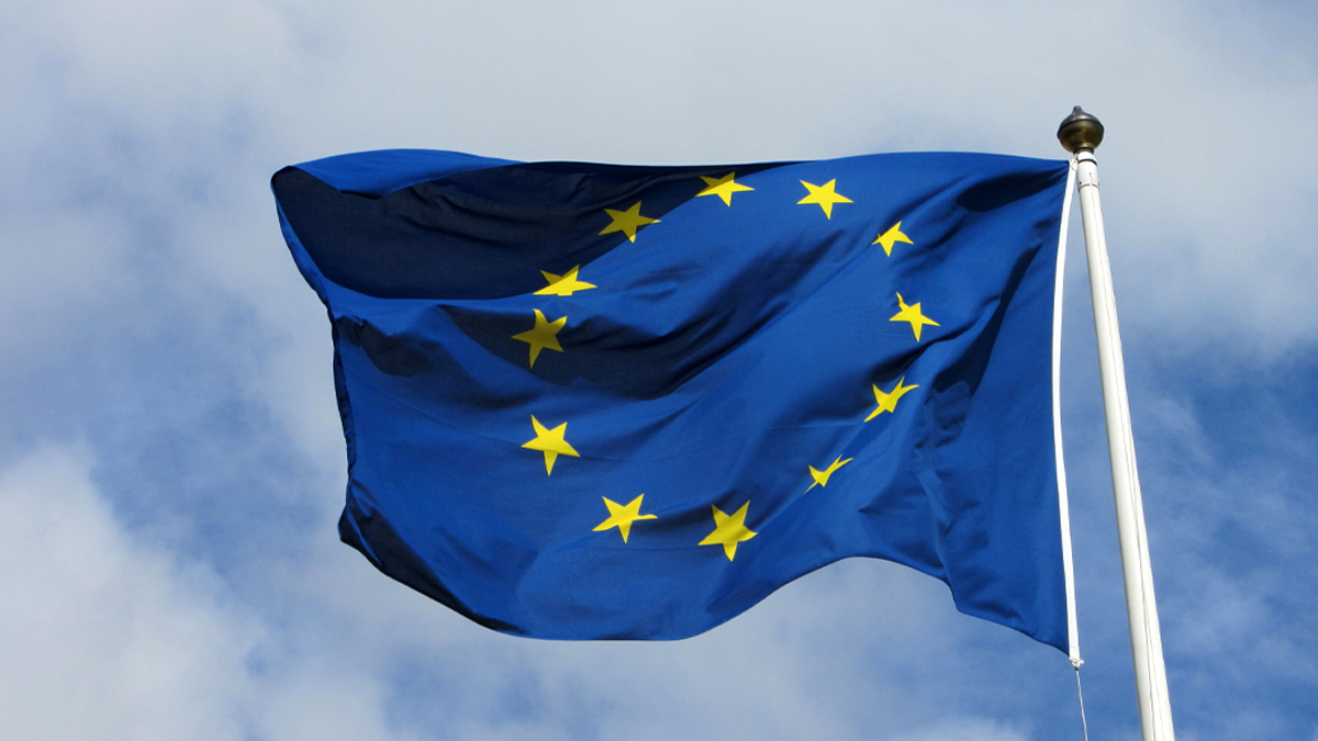 নির্বাচন পর্যবেক্ষণ মিশন মোতায়েন করবে ইইউ, প্রধান ইভার্স ইযাবস