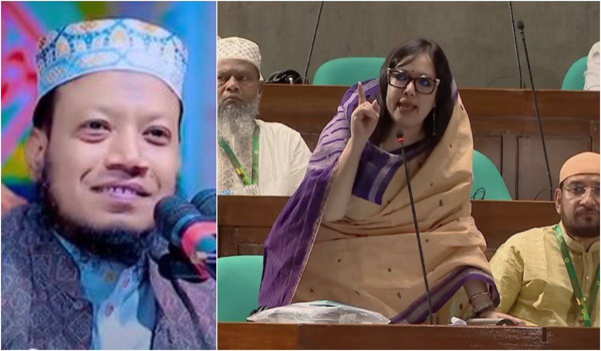 নারী এমপিদের নিয়ে আমির হামজার ‘কুৎসিত বক্তব্যে’র বিচার চাইলেন রুমিন