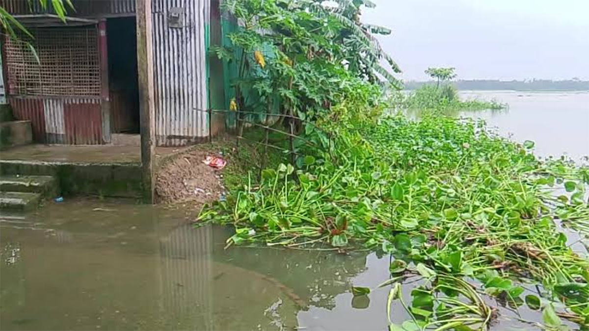 টানা বর্ষণে পানি বাড়ছে হাওরে, বন্যার শঙ্কা