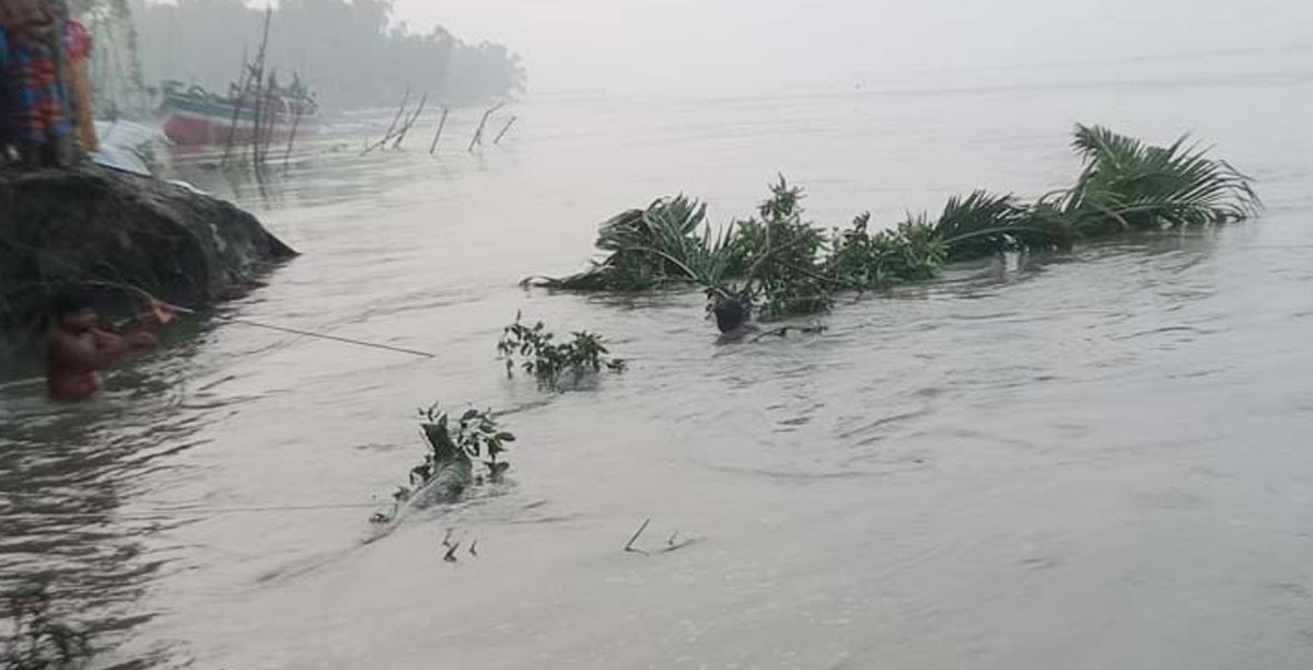 কুড়িগ্রামে শত শত পরিবার পানিবন্দি