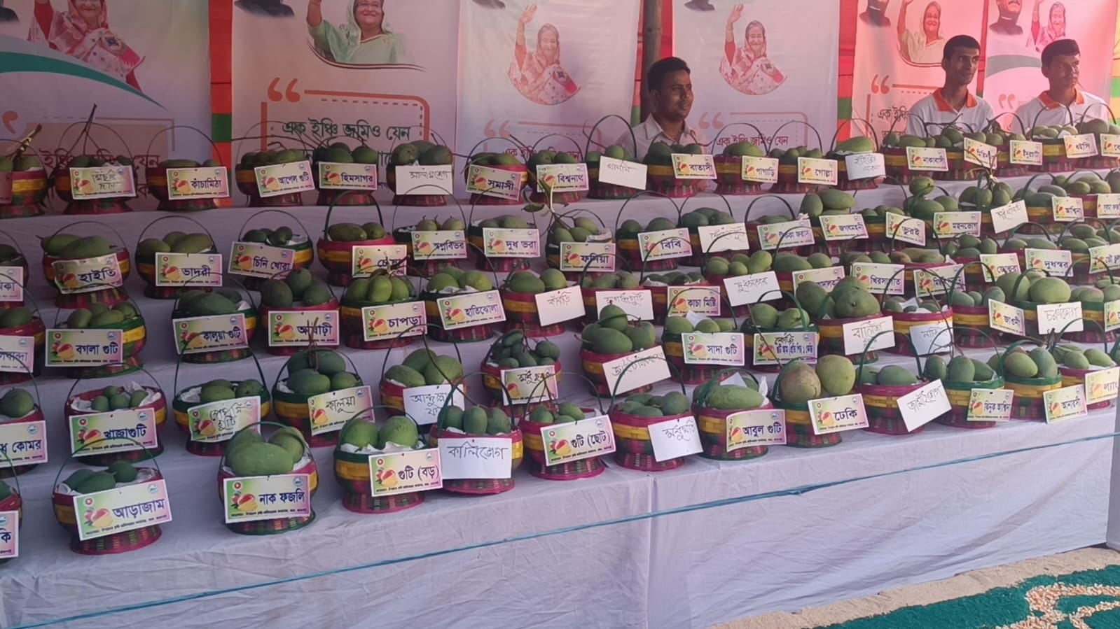 বাঘায় ১৩৫ প্রজাতির আম প্ৰদৰ্শন শুরু