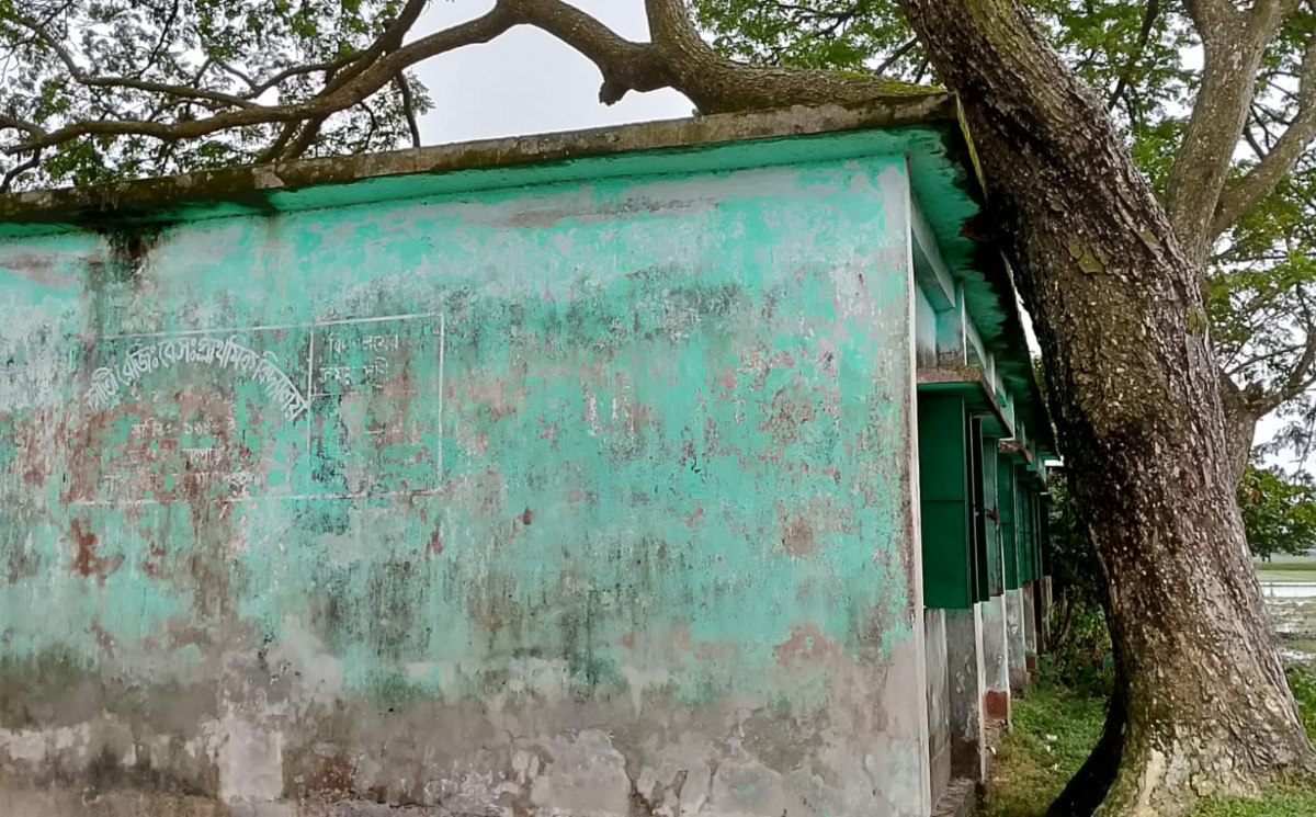 গাছ হেলে পড়ায় ঝুঁকিতে বিদ্যালয় ভবন, মেঝেতে বসিয়ে চলছে পাঠদান