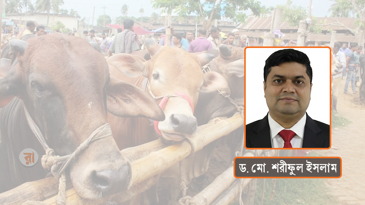 কোরবানির পশুতে স্বনির্ভরতা: বদলে যাওয়া অর্থনীতির গল্প