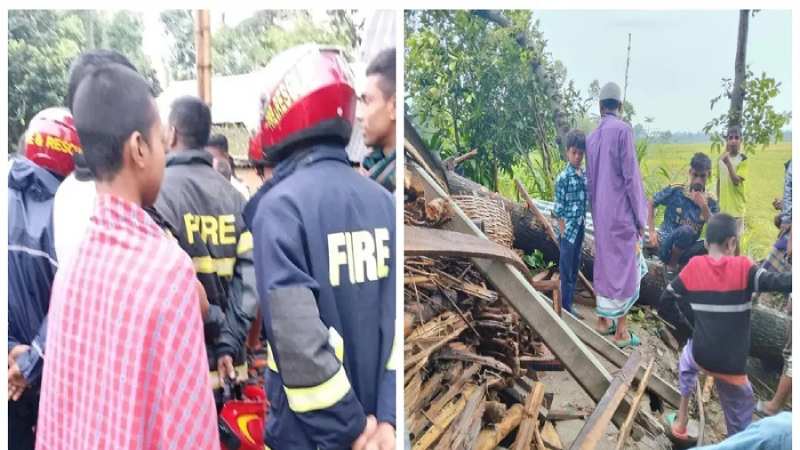 ঝড়ে গাছ উপড়ে পড়ল ঘরে, ঘুমের মধ্যেই প্রাণ গেল মা ও ২ মেয়ের