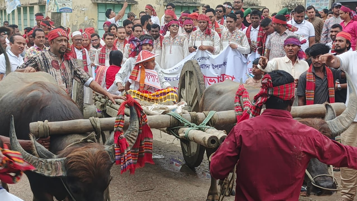 মিঠামইনে বর্ণাঢ্য নববর্ষ উদযাপন, গরু-মহিষের গাড়িতে ব্যতিক্রমী শোভাযাত্রা