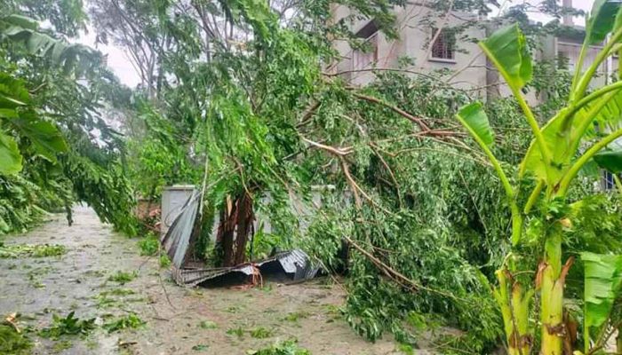 ঘূর্ণিঝড় রিমালের তাণ্ডবে ছয় জেলায় ১০ প্রাণহানি