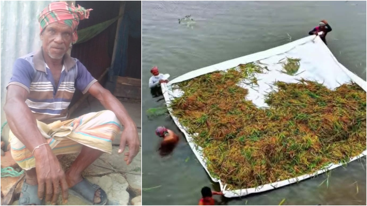 ‘পচা ধান কাডাইয়া কি করমু, পানির তলে পইরা থাকুক’