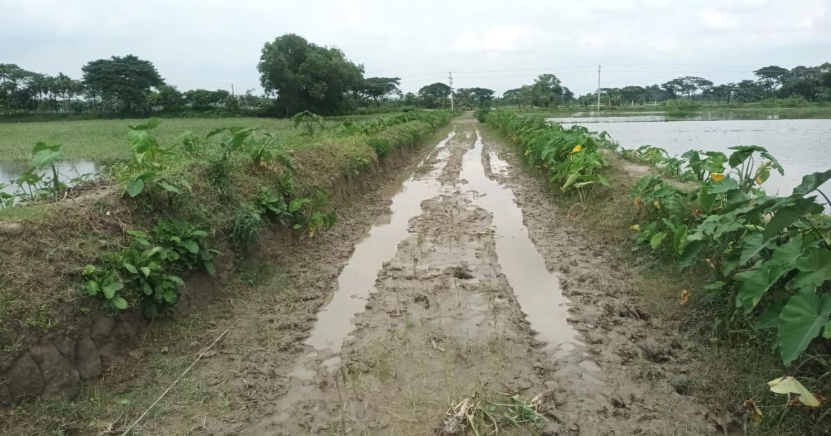 নান্দাইলে ৬ মাস ধরে সড়ক নির্মাণকাজ বন্ধ, চলাচলে ভোগান্তি