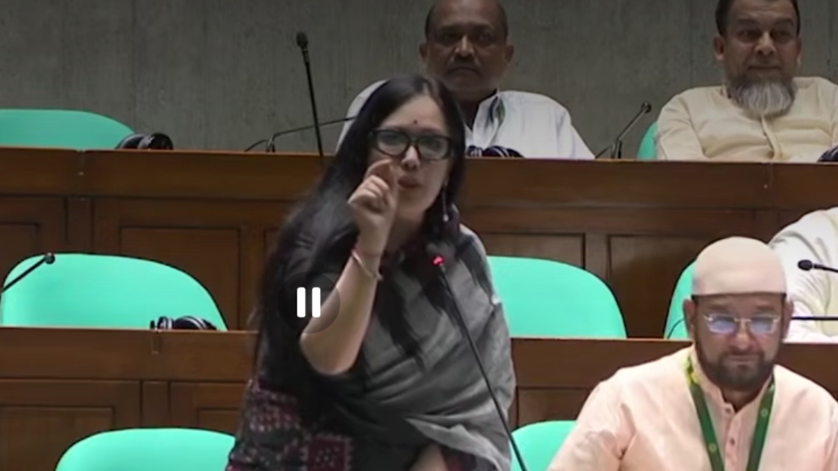 দুষ্টু লোকে বলে টুকু আসে, টুকু যায়— লোডশেডিং নিয়ে সংসদে রুমিন