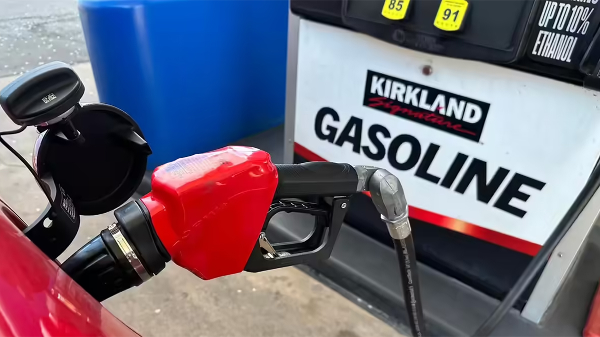 ১ এপ্রিল থেকে গ্যাসোলিন রপ্তানি বন্ধ— ঘোষণা রাশিয়ার