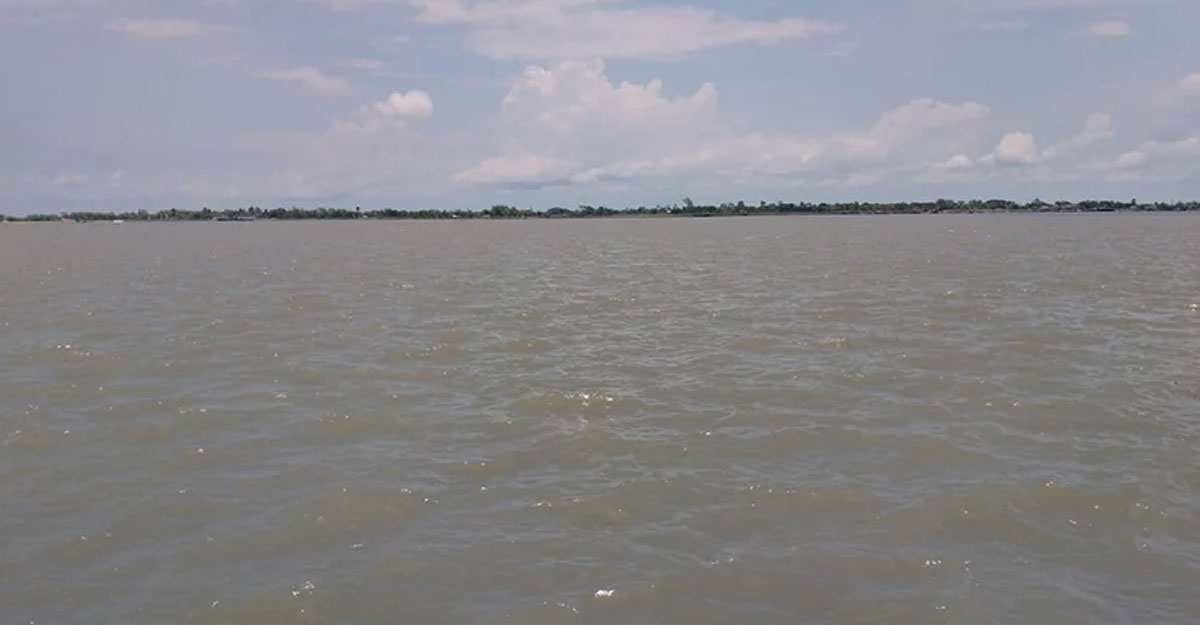 ঘূর্ণিঝড় রিমালের প্রভাবে সাতক্ষীরায় বৃষ্টি