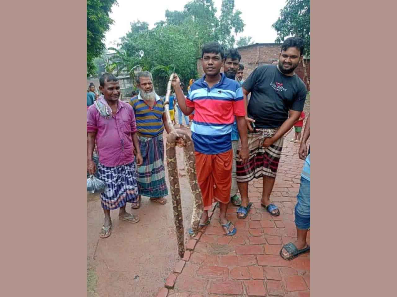 বিদ্যালয় খোলার দিনে শ্রেণিকক্ষে বিরাট সাপ