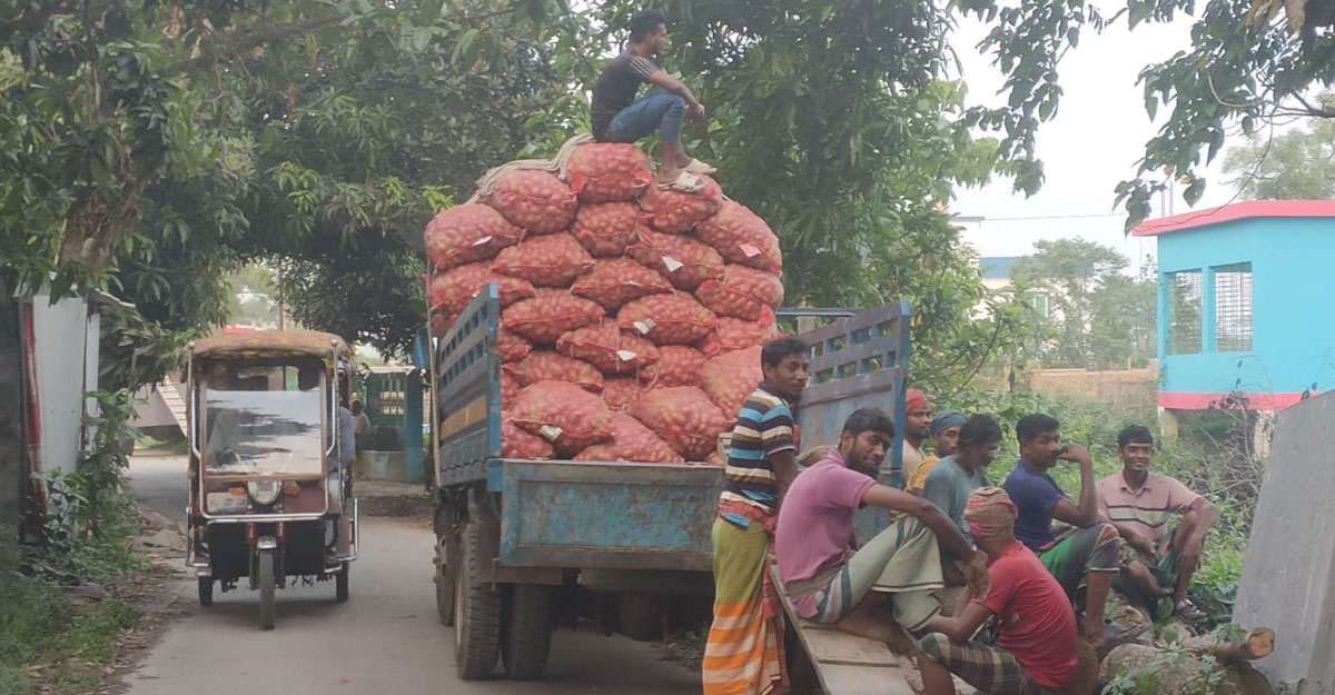 আলুর দাম বৃদ্ধিতে লোকসান পুষিয়ে নেয়ার আশায় কৃষক