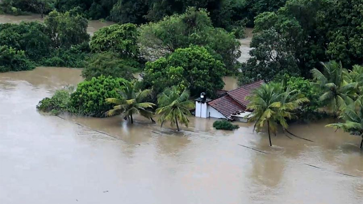 ঘূর্ণিঝড় ‘ডিটওয়াহ’র প্রভাবে বিপর্যস্ত শ্রীলংকা, নিহত ৫৬
