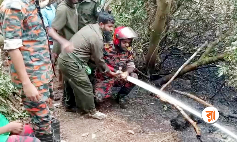 সুন্দরবনে গুলিশখালীর আগুনও নিয়ন্ত্রণে