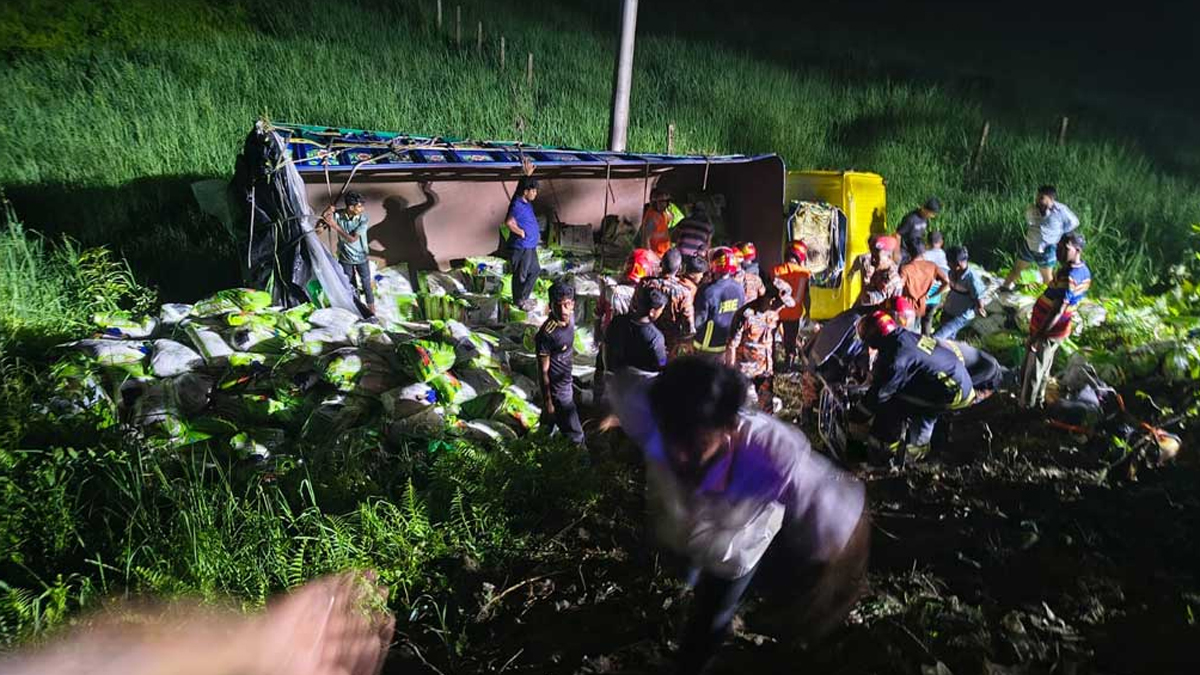 নিয়ন্ত্রণ হারিয়ে চালবোঝাই ট্রাক খাদে, প্রাণ গেল ৭ জনের